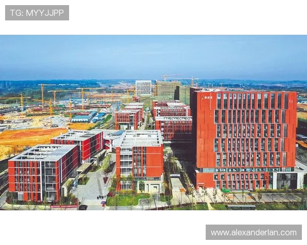 宝昂电子在国际市场的布局与合作,拓展全球电子产业链的影响力