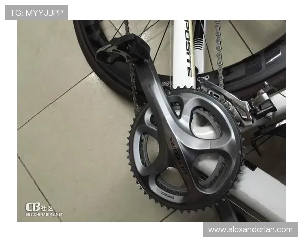 目前市场上主流的老虎机在线注册平台有哪些值得新手玩家选择